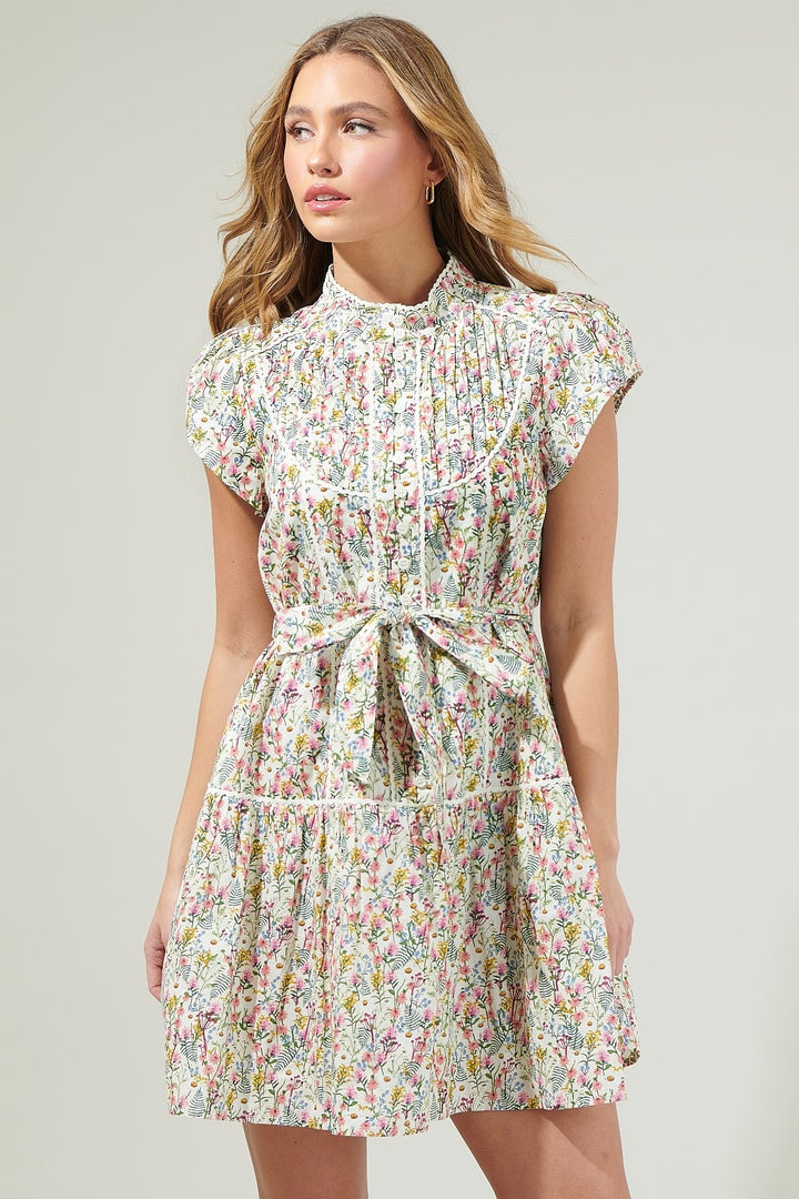 Arvine Pleated Mini Dress in Floral